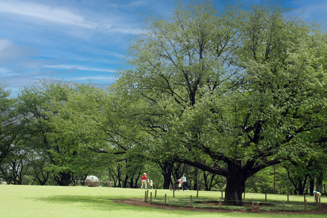 稲荷山公園